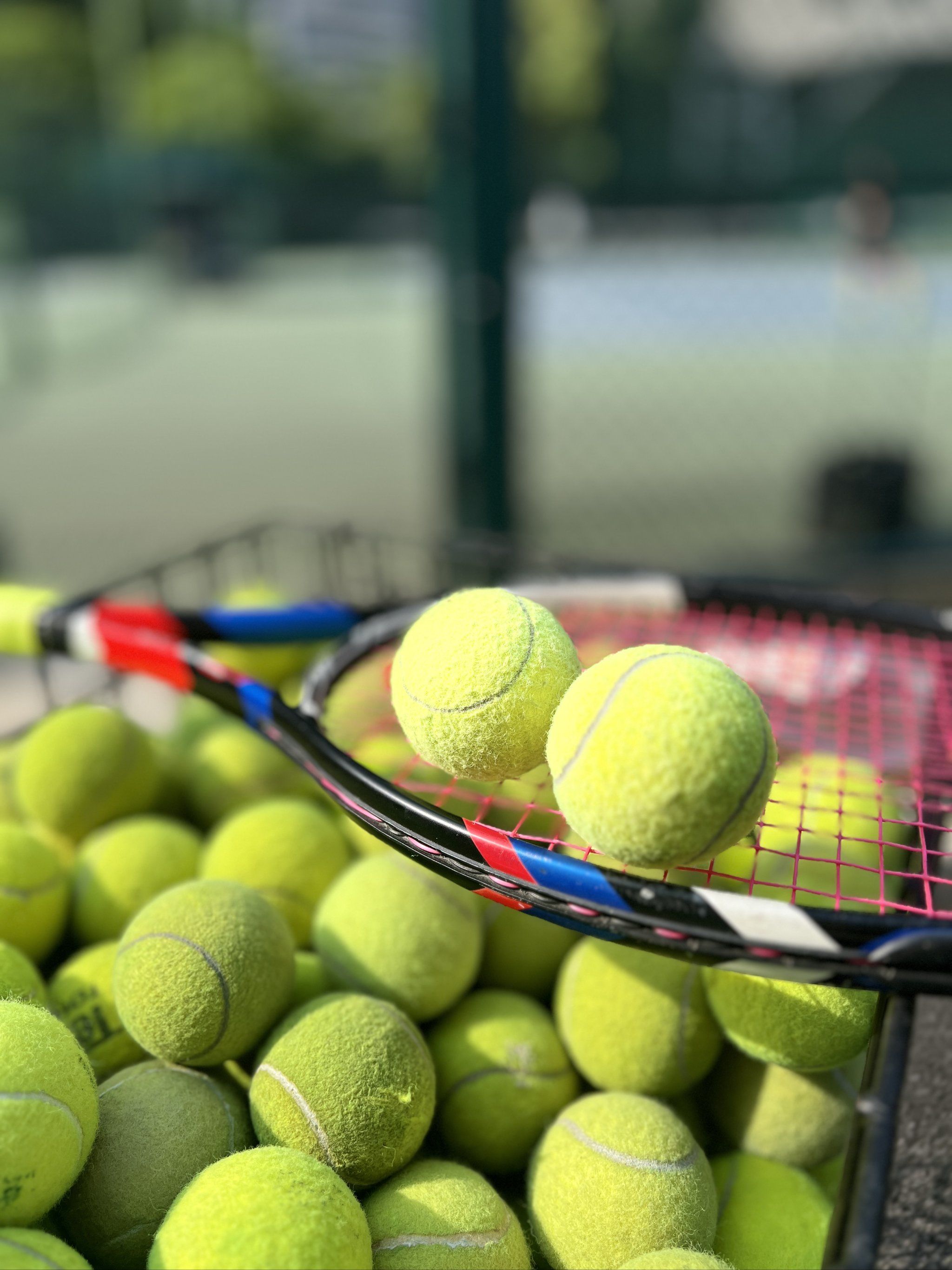 队出身的年 队出身的年